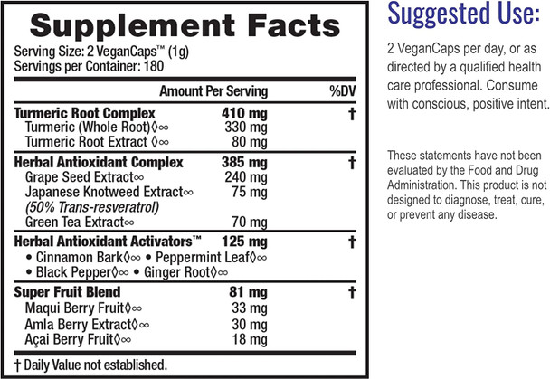 HealthForce SuperFoods Antioxidant Extreme - 360 VeganCaps - Pack of 2 - All-Natural Turmeric Root Complex - Supports Immune & Cognitive Functions - Kosher & Gluten Free - 360 Total Servings