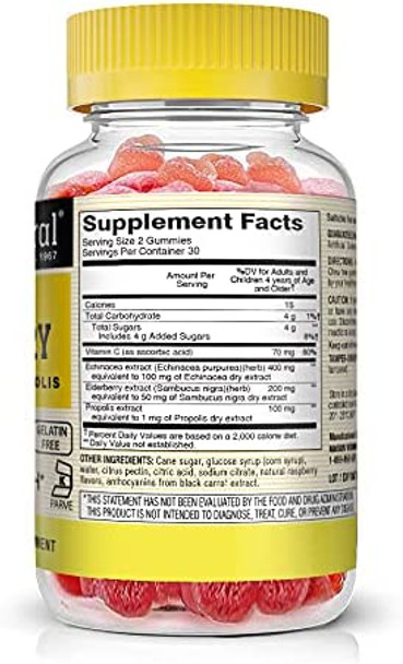 Mason Natural Sambucus Elderberry Gummies with Echinacea & Propolis - Antioxidant Immune System Support Supplement with Vitamin C, 60 Gummies