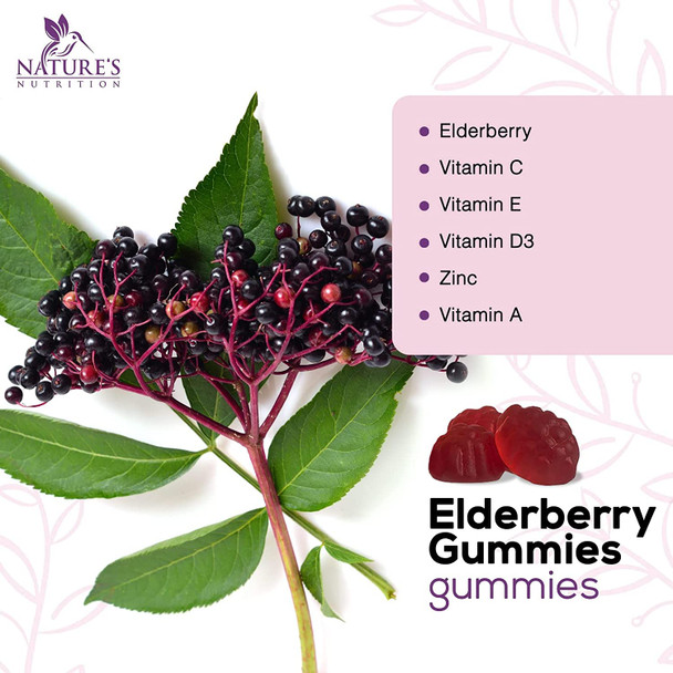 Sambucus Elderberry Gummies with Vitamin C and Zinc for Adults & Kids - Nature's Immune Support Supplement Vitamins, Vegan, Gluten Free, Non-GMO, Berry Flavored Gummy - 120 Gummies