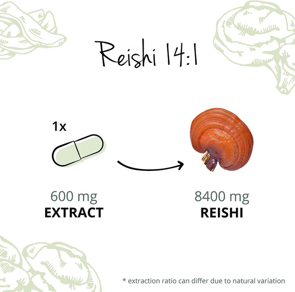 Reishi Vegavero® | 100% Organic | 8400mg (14:1) Ganoderma Lucidum | with Polysaccharides & Beta Glucans | Mushroom Extract | 60 Vegan Capsules