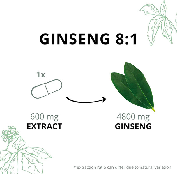Panax Ginseng Vegavero® | 4800 mg (8:1 Extract) | with 20% Ginsenosides | No Additives | 120 Vegan Capsules | Korean Red Ginseng