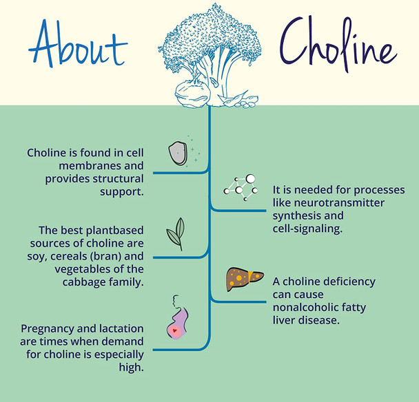 Choline Complex Vegavero® | 3 Forms: Bitartrate, CDP & Phosphatidyl | NO Additives | 90 Vegan Capsules