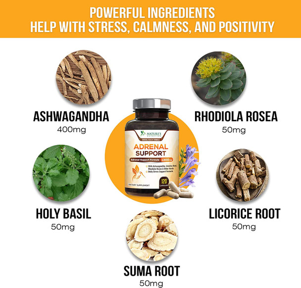 Adrenal Support Supplement - Supports Stress, Fatigue & Daily Energy with Ashwagandha Plus Natural Herbs - Non-GMO, Adrenal Fatigue Supplements for Women & Men - 120 Capsules