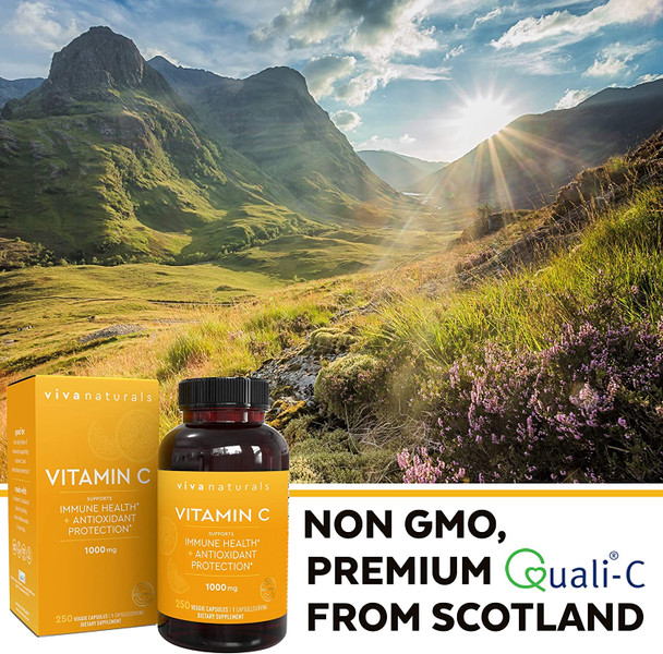 Viva Naturals Vitamin C 1000mg (250 Capsules) and Organic Turmeric Curcumin 1500mg (90 Tablets) Bundle