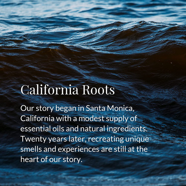 Archipelago Botanicals Dubai Diffuser Oil Refill | Amber, Mandarin and Musk (7.85 fl oz)