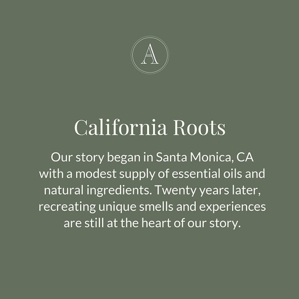 Archipelago Botanicals Lavender Body Wash | Nourishing Daily Cleanser | Free from Parabens and Sulfates (17 fl oz)