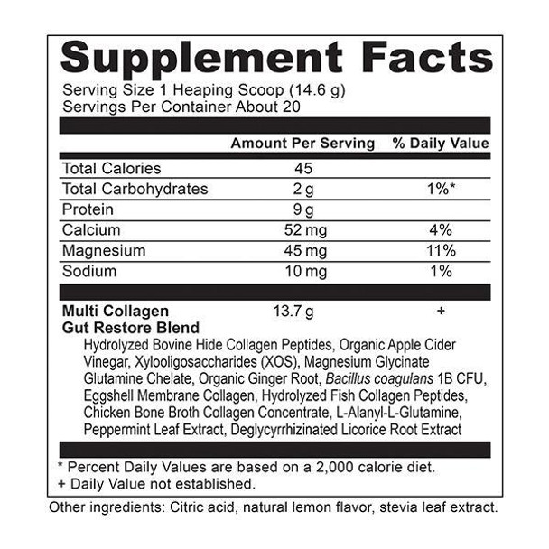 Daily Gut Support Kit