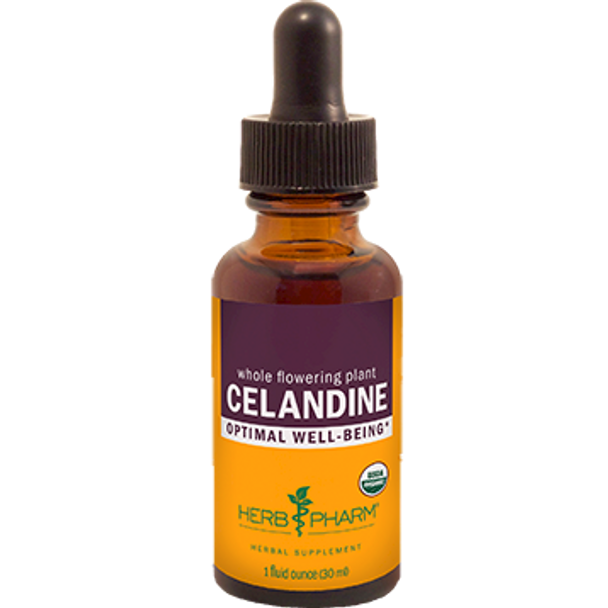 Celandine 1 oz - 3 Pack