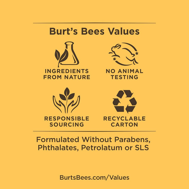 Burt's Bees 100% Natural Medicated Moisturizing Lip Balm with Menthol & Eucalyptus - 2 Tubes