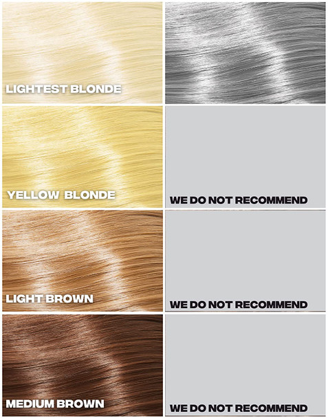 Good Dye Young Hair Makeup Semi Temporary Hair Color (Swipe Left)  Gray Semi-Temporary Hair Serum - Vegan Hair Serum Lasts 2-6 Washes