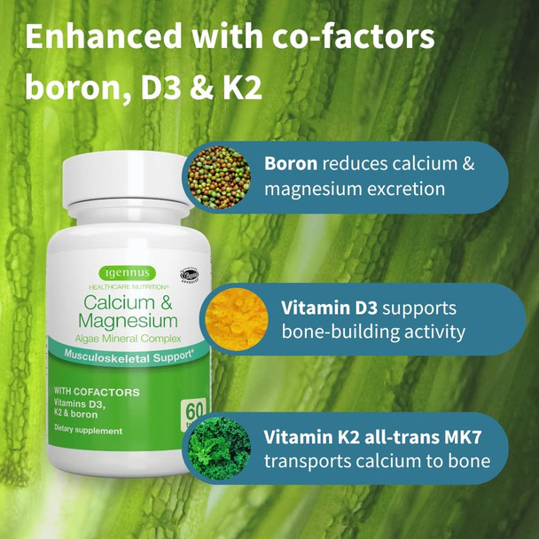 Calcium & Magnesium 2:1, Plant Based Algae Mineral Complex, Bone & Teeth Support, High Absorption Formula with Cofactors Boron, Vitamin D3 & K2, Vegan, 60 Tablets, by Igennus