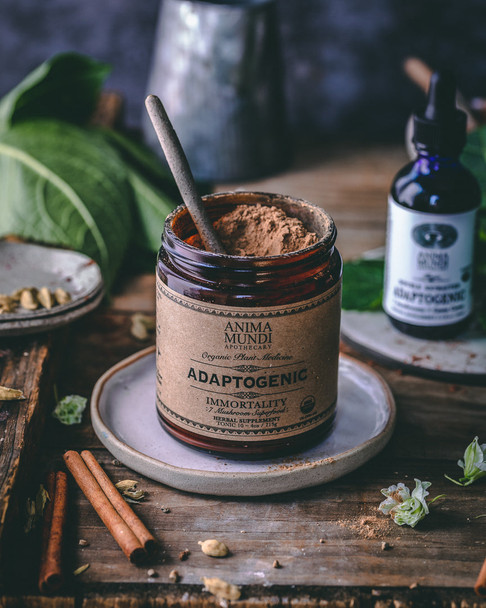 ADAPTOGENIC Powder | 7 Medicinal Mushrooms + Cacao