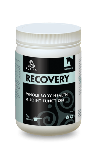 Purica Equine Recovery