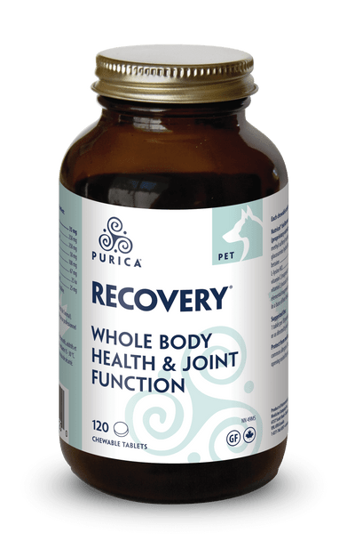 Purica Recovery Pet
