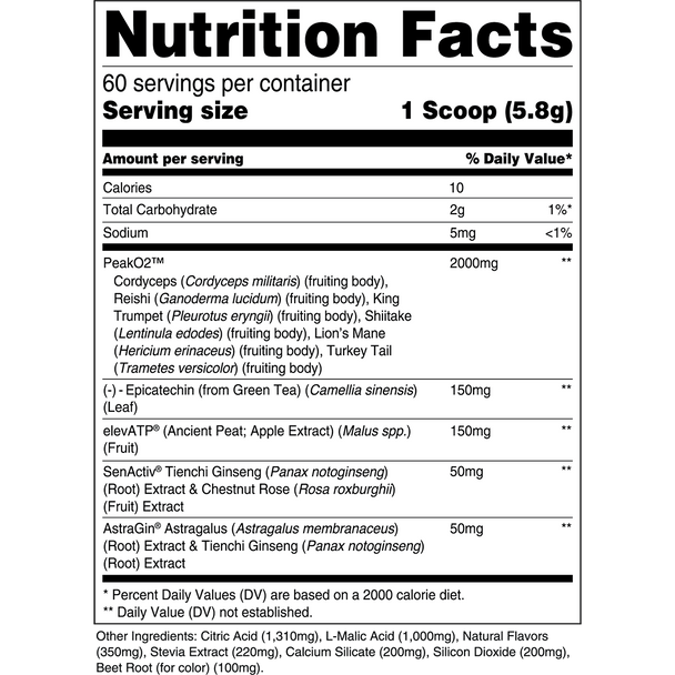 Transparent Labs Build Fruit Punch 60 Servings