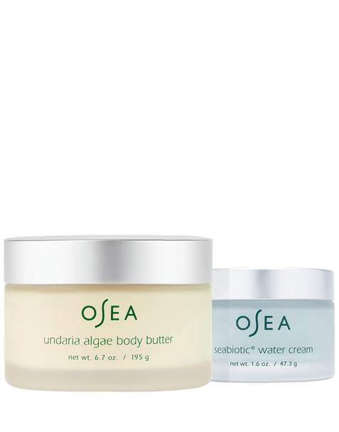 Body Butter + Seabiotic Water Cream