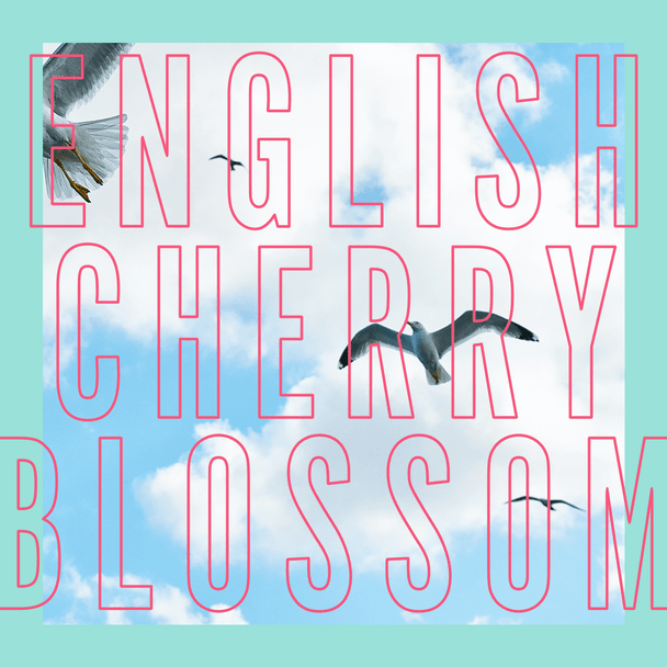 English Cherry Blossom Fragrance 10ml