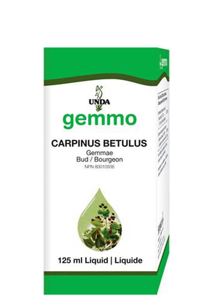 UNDA Carpinus Betulus