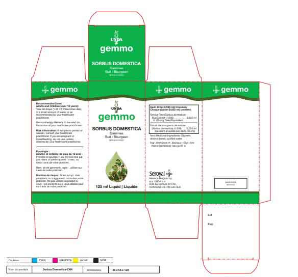 UNDA Sorbus Domestica