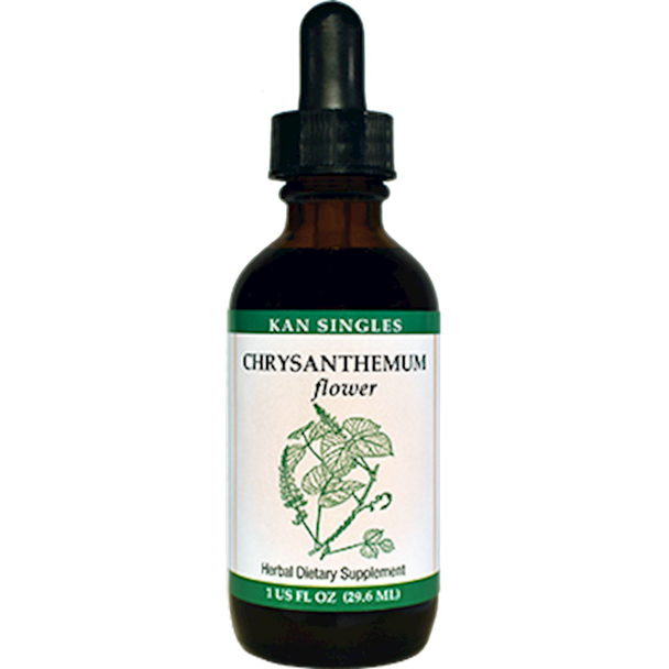 Chrysanthemum flower