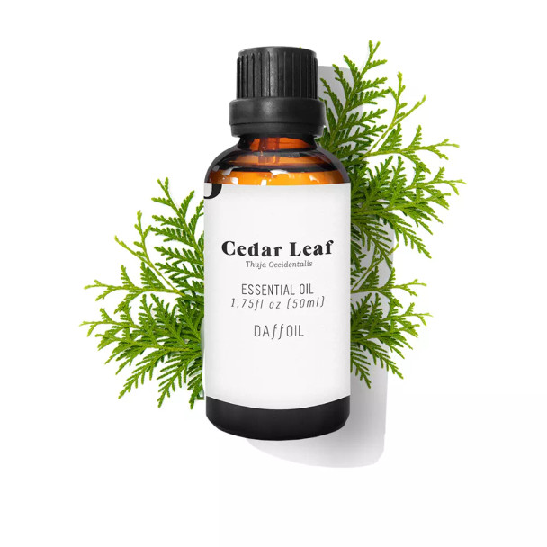Daffoil CEDAR LEAF essential oil - Aromatherapy - Acne Treatment Cream & blackhead removal - Matifying Treatment Cream