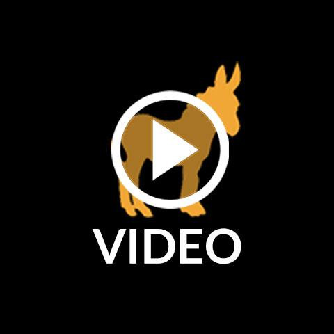 Pick "Three Amigos" Body Wash Set