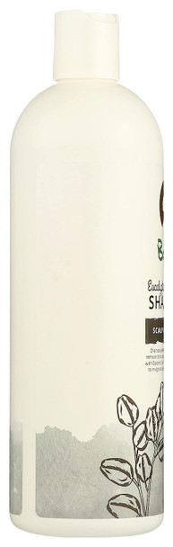 BODHI HANDMADE SOAP Eucalyptus Charcoal Scalp Invigorate Shampoo, 16 FZ