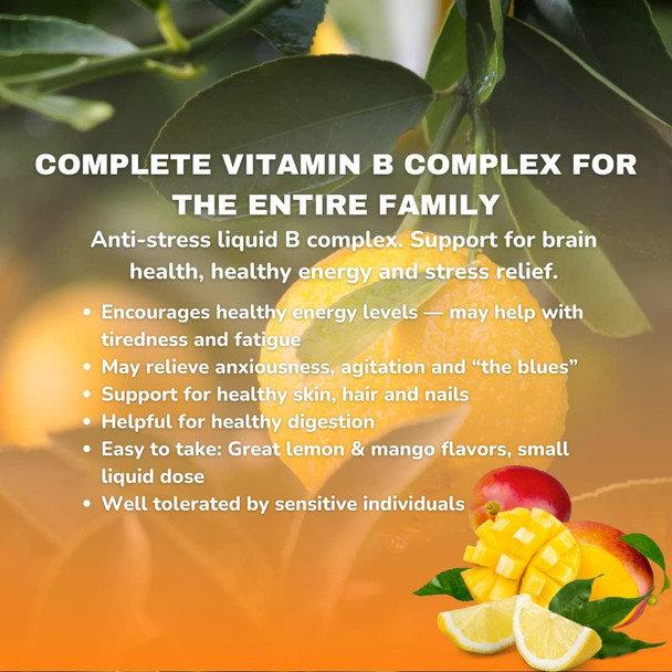 Liquid Vitamin B-Complex | Vitamin B Energy Support | B-Complex Vitamin Supplement | Liquid Vitamins for Health Support | Non-GMO | Vegan | Gluten Free | Lemon