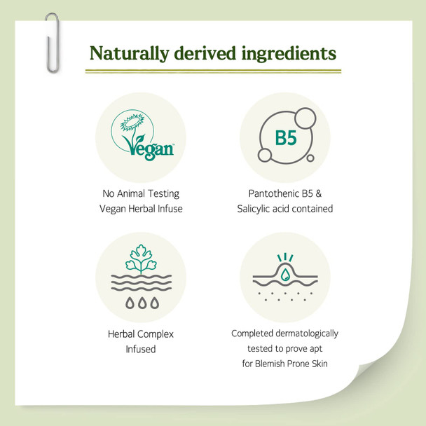 SKINFOOD Pantothenic Water Parsley Silence Essence, 1.69 fl.oz (50ml), Vegan AC/Blemish Prone Skin Serum, Sebum & Oil & Pore Care, Slight Acidic (Low PH)