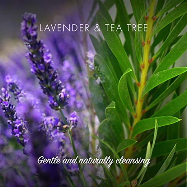 Friendly Soap Handmade Natural Lavender & Tea Tree Conditioner - Softening Moisturising Nourishing 90g