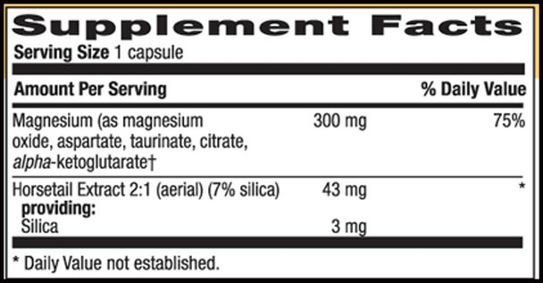 Country Life Magnesium Caps With Silica 300 mg