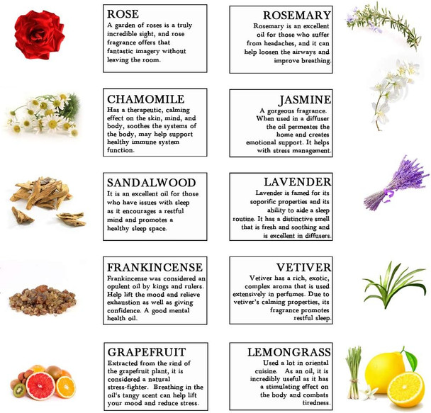 10 Essential Oil Set for Diffuser (Rose,Jasmine,Vetiver,Sandalwood,Chamomile,Lemongrass,Grapefruit,Frankincense,Lavender,Rosemary) 100% Pure Oil 10MLx10