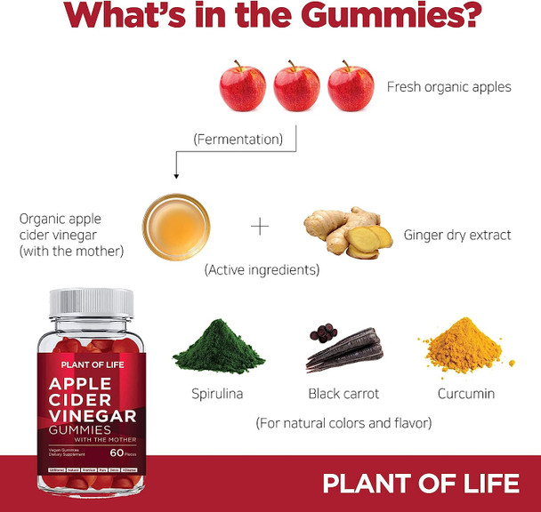 Apple Cider Vinegar Gummies by Plant of Life - with Raw, Organic, Unfiltered with The 'Mother' ACV - Vegan & Non-GMO Gummies - 60 Count
