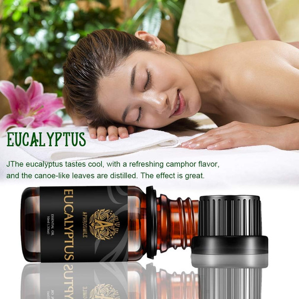 Aromatherapy Essential Oils, Eucalyptus Aromatherapy Essential Oils (0.33 oz - 10ml), 100% Pure Essential Oils Eucalyptus Scent for Diffuser, Humidifier, Massage, Aromatherapy, Skin & Hair Care