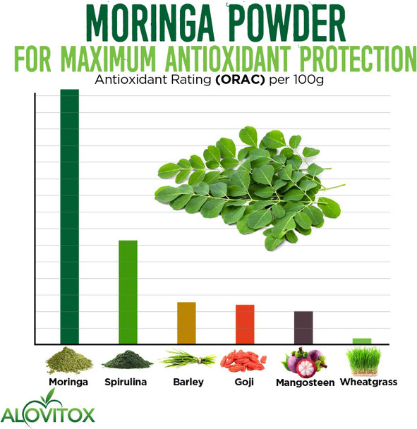 Certified Organic Moringa Oleifera Powder 454 g | Plant Proteins, Amino Acids, Antioxidants and Vitamins - Drumstick Leaf Powder | RAW, USDA Organic, Non-GMO, Vegan, Kosher