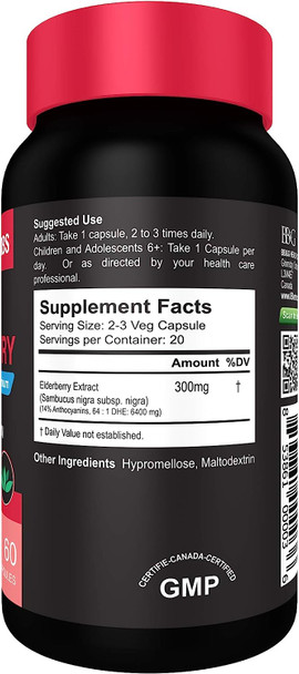 Elderberry - Premium ElderCraft - 14% Anthocyanins - Cold & Flu Support - Powerful Antioxidants - Immune Support - No Magnesium Stearate - Non-GMO - 100mg - 60 veg caps