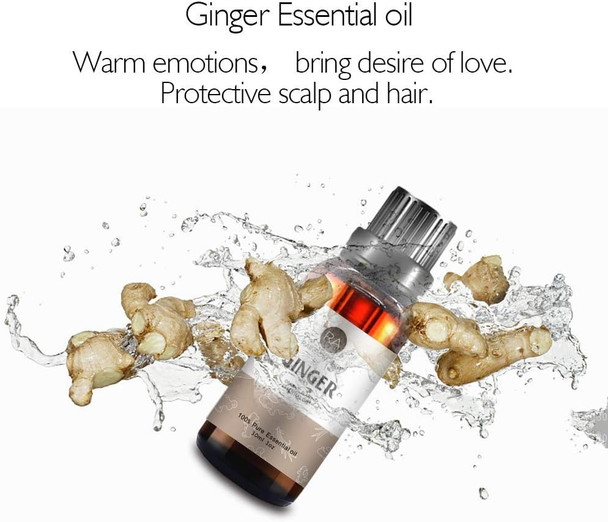 Ginger Essential Oil 30ml (1oz) - 100% Pure Therapeutic Grade for Aromatherapy Diffuser, Massage, Skin Care