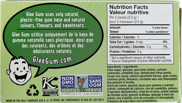 Glee Gum Spearmint Natural Chewing Gum, 12 Count, Spearmint, 240 Grams