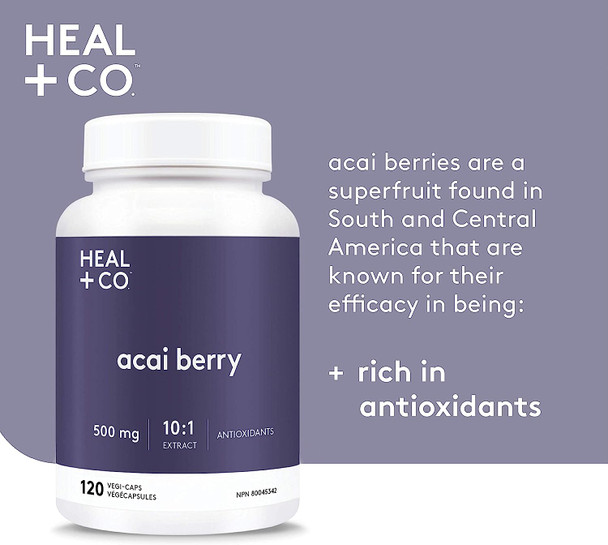 HEAL + CO. Acai Berry | High Potency 10:1 Extract, 10,000 mg per serving | Antioxidant | 120 x 500 mg Capsules