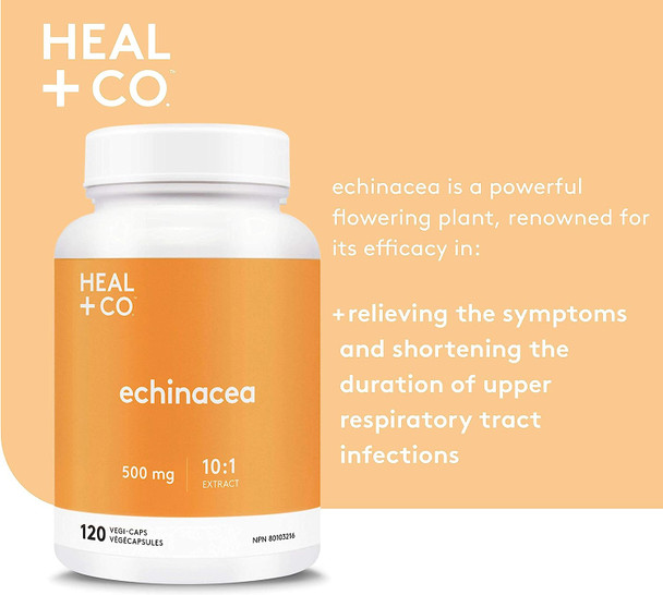 HEAL + CO. Echinacea | High Potency 10:1 Extract, 5000 mg per serving | Immune Support | 120 x 500 mg Capsules