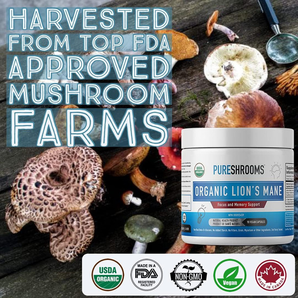Lion's Mane Mushroom Focus & Memory Capsules (90 caps), Organic Lion's Mane Mushroom Powder Extract Capsules, Vegan Brain Supplement, Brain Focus Vitamins, Gluten-Free, No Fillers