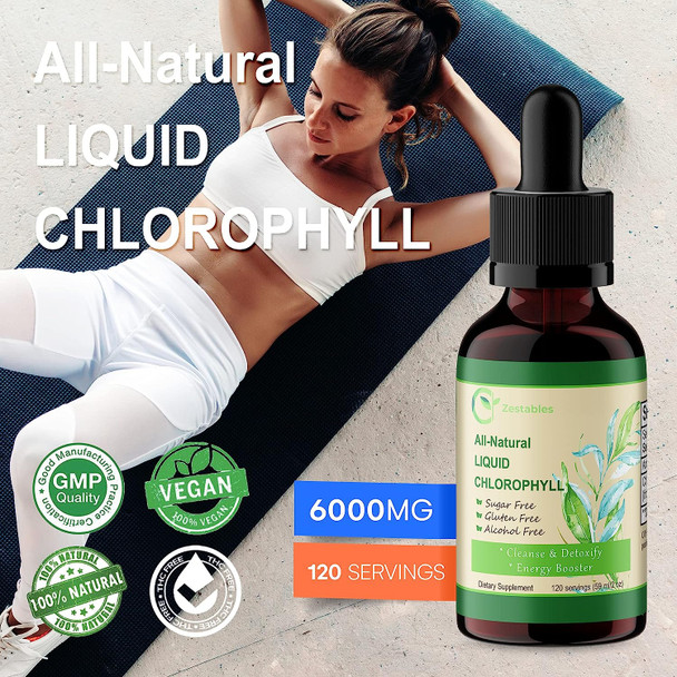 Liquid Chlorophyll Drops for Water 120 Serving, All-Natural Concentrate, Mint Flavored 60mg