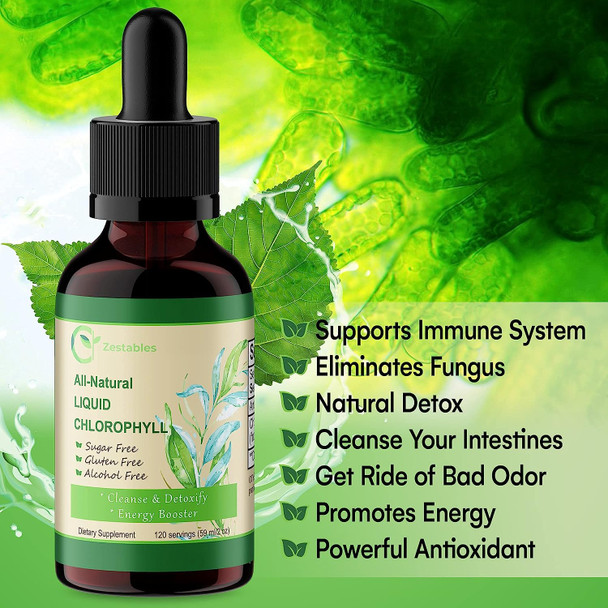 Liquid Chlorophyll Drops for Water 120 Serving, All-Natural Concentrate, Mint Flavored 60mg