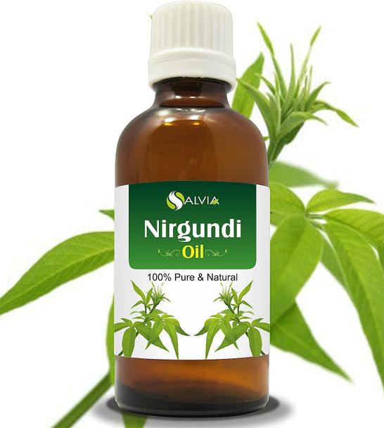 NIRGUNDI OIL 100% NATURAL PURE UNDILUTED UNCUT ESSENTIAL OIL 15ML by Salvia