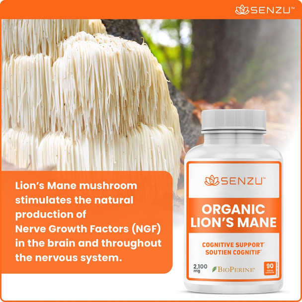 Organic Lions Mane Mushroom Capsules - Nootropic Brain Supplement for Strong Cognitive Support, Intense Focus, Memory Booster for Mental Clarity - Lions Mane Mushroom Supplement - Lion's Mane 90 Count