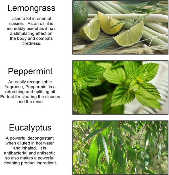 Peppermint Eucalyptus Lemongrass Essential Oil - 100% Pure Peppermint Eucalyptus Lemongrass Organic Aromatherapy Oil 10mL/0.33oz