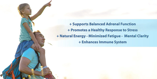 ADRENA-MAXX - Natural Adrenal Supplement, 45Day Supply- Fatigue Relief, Supports Adrenal Function, Stress Response, Enhanced Energy - Pure, Organic Ingredients -... from Purely benefical