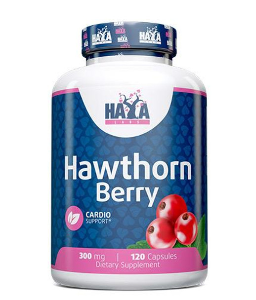 Haya Labs Hawthorn Berry, 300mg - 120 caps