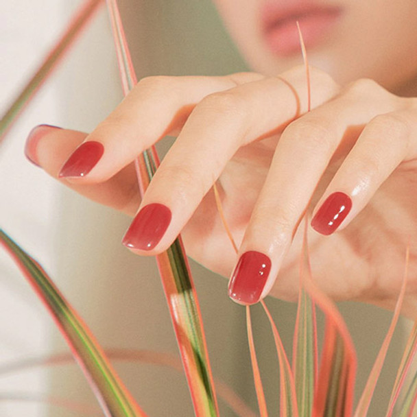 ohora N Tint Brick Nail 30pcs