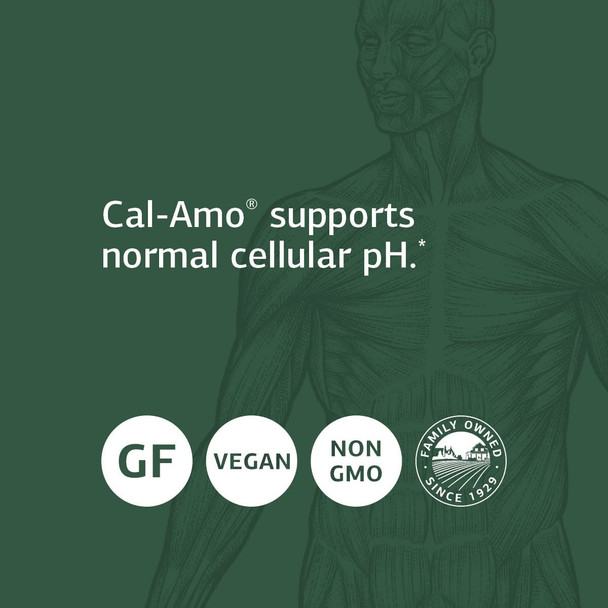 Standard Process Cal-Amo - Cellular Ph Support And Lung Support Supplement With Magnesium Citrate, Calcium Chloride, Calcium Lact